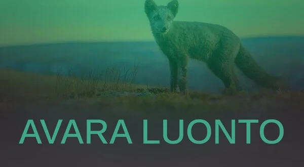 Avara luonto