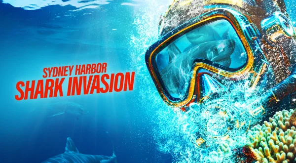 Sydney Harbor Shark Invasion