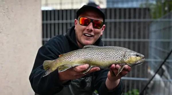 Fly vs. Spinning - Wer fängt die grösste Forelle?