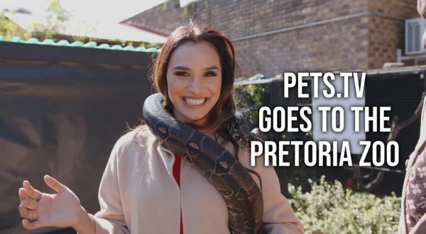 Pets.TV Goes to the Pretoria Zoo