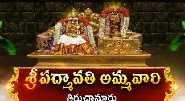 Sri Padmavati Ammavari Kalyanam Tiruchanoor Live