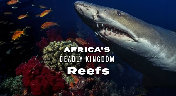 Africa's Deadly Kingdom