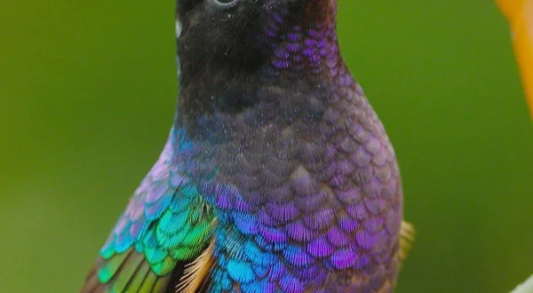 Ecuador, Hotspot der Artenvielfalt