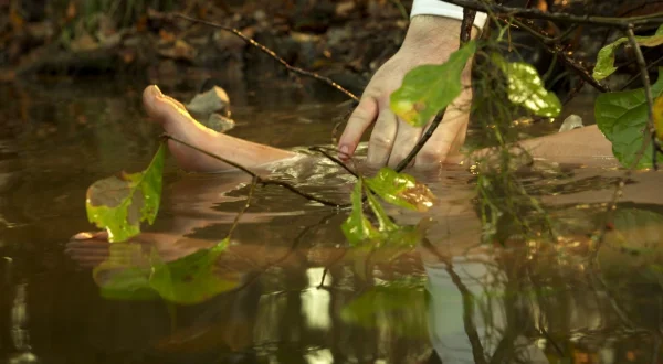 Swamp Murders
