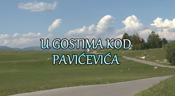 U gostima kod Pavićevića