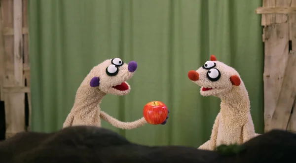 Jan & Henry – Die Fragenforscher