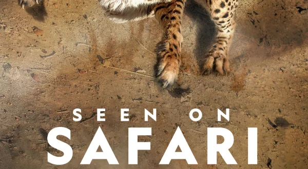 Seen on Safari