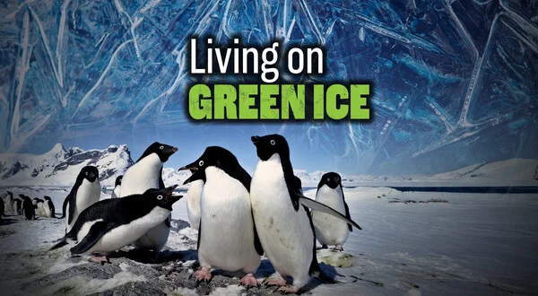 Living on Green Ice