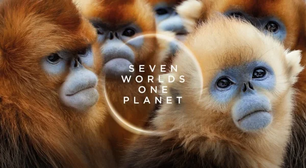 Seven Worlds, One Planet