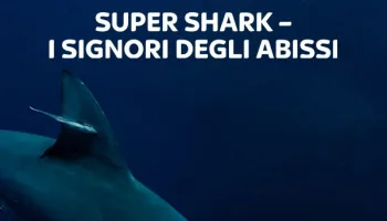 Super Shark: I signori degli abissi