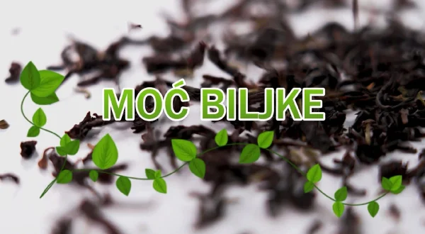 Moć biljke