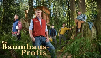 Die Baumhaus-Profis