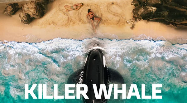 Killer Whale