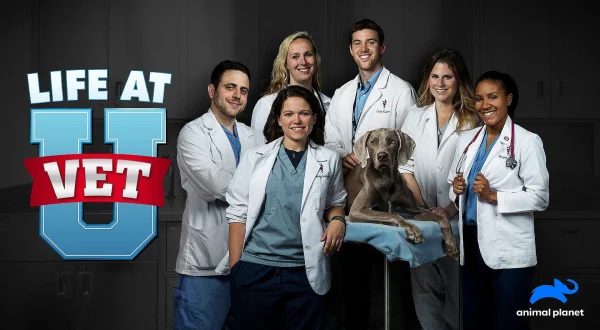 Life at Vet University