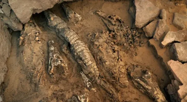 Verborgen im Sand - Geheimnisse der Vergangenheit