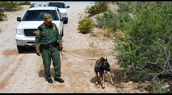 密着！国境警備犬