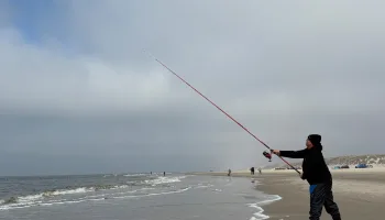 Nordseereport – Blavand erleben