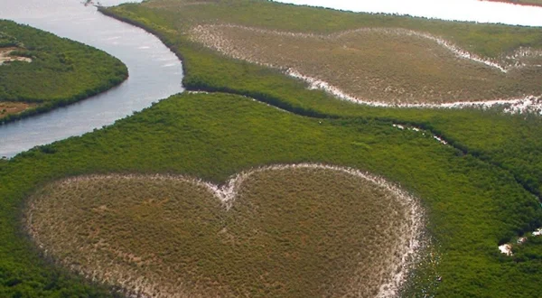Earth From Above
