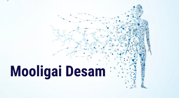Mooligai Desam