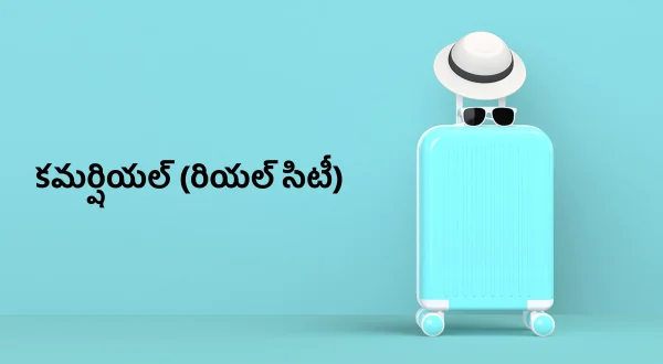కమర్షియల్ (రియల్ సిటీ)