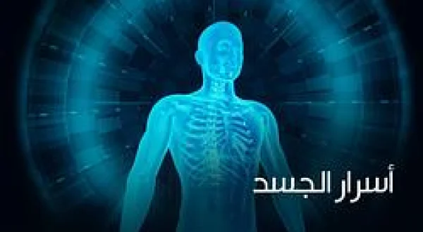Secrets Of The Body