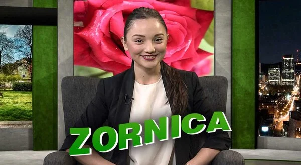 Zornica