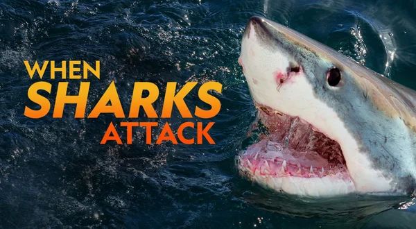 When Sharks Attack