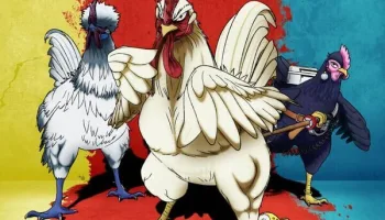 Rooster Fighter