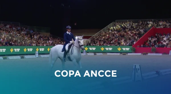 Copa ANCCE
