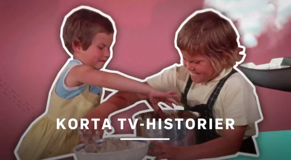 Korta tv-historier