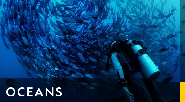 OceanXplorers