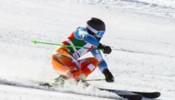 Partis skier