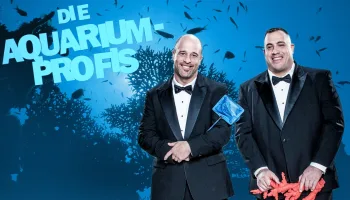 Die Aquarium-Profis