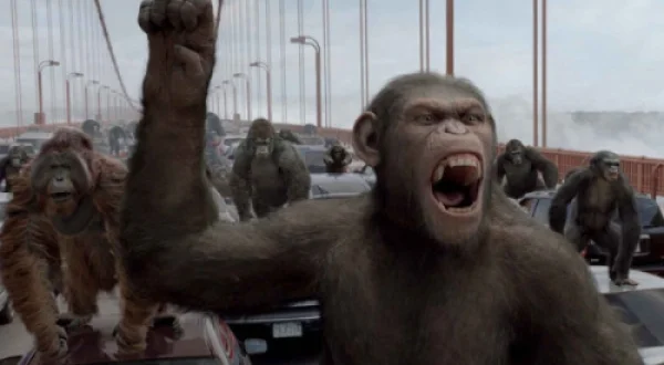 PLANETA MAIMUȚELOR: INVAZIA | RISE OF THE PLANET OF THE APES