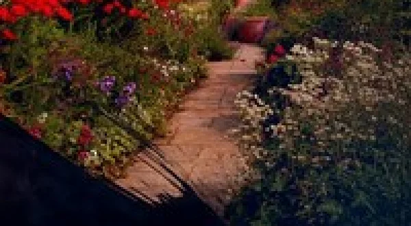 The Art of the Garden