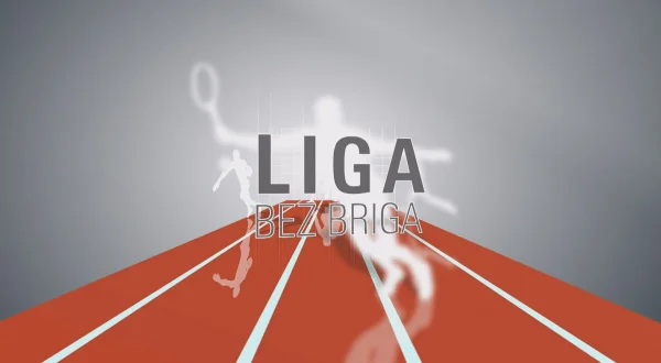 Liga bez briga