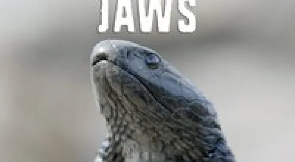 Africa's Claws & Jaws