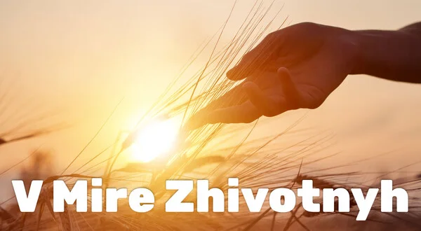 V Mire Zhivotnyh