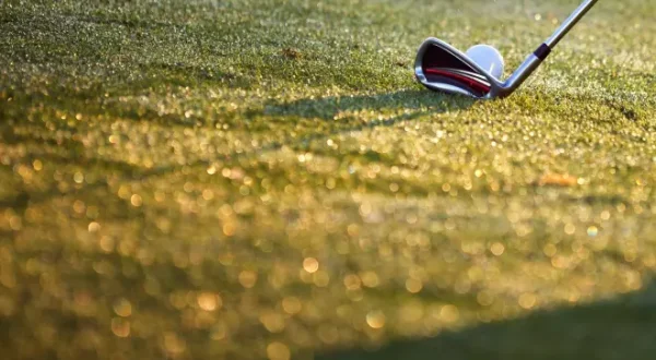 PGA TOUR: 3M Open, jour 4