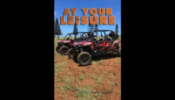 At Your Leisure