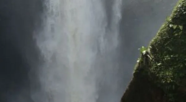 Expedición Guyana