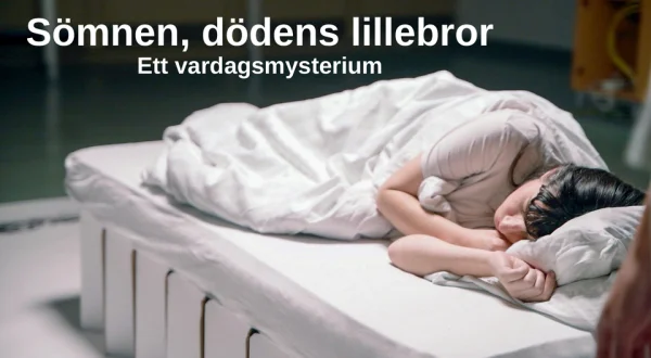 Sömnen, dödens lillebror - Ett vardagsmysterium