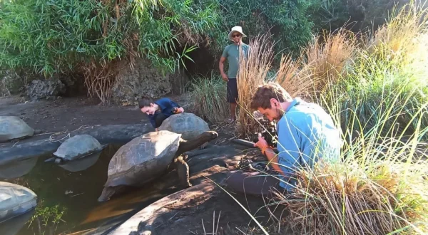 Madagaskar – Insel der Widersprüche