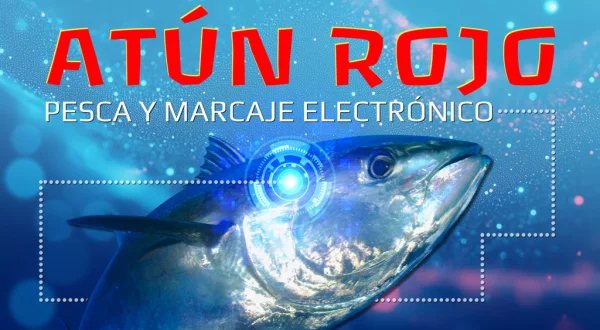 Atún rojo pesca y marcaje electrónico