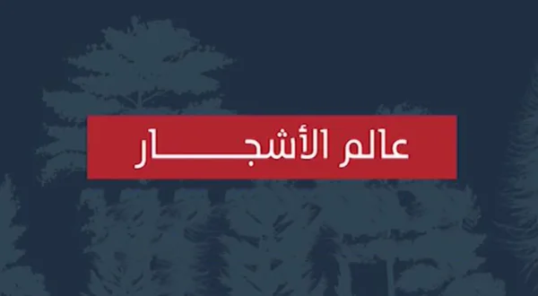 عالم الأشجار