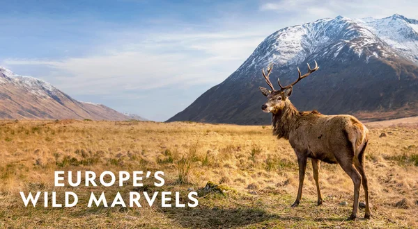 Europe's Wild Marvels