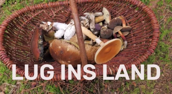 Lug ins Land