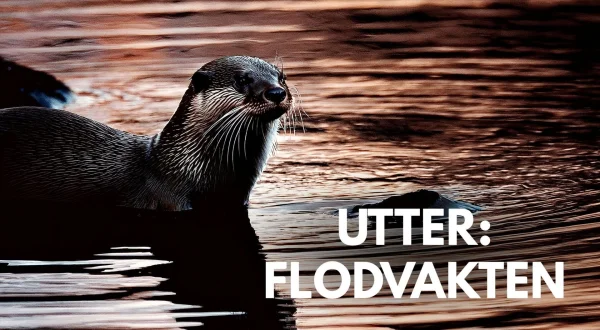 Odderen: Flodens vogter