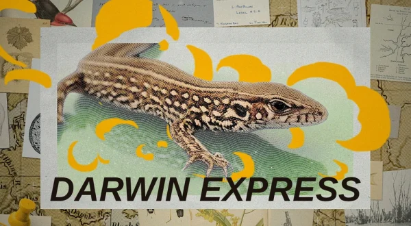 Darwin Express - Les nouveaux défis de l'évolution