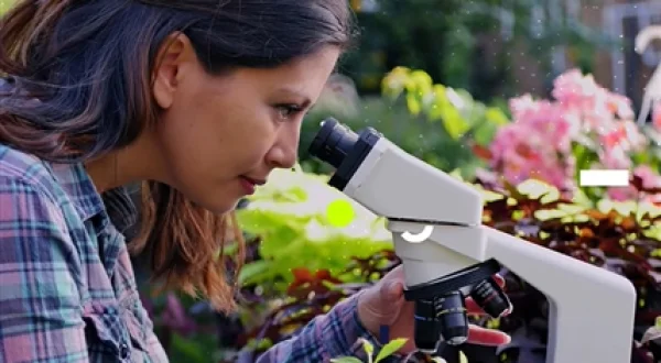 Eco Latinoamérica